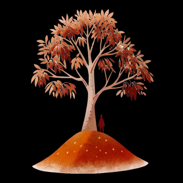 Illustration Eucalyptus Étape 3