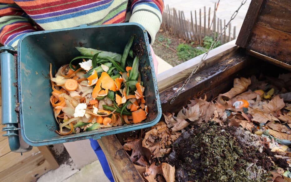 Compost en appartement
