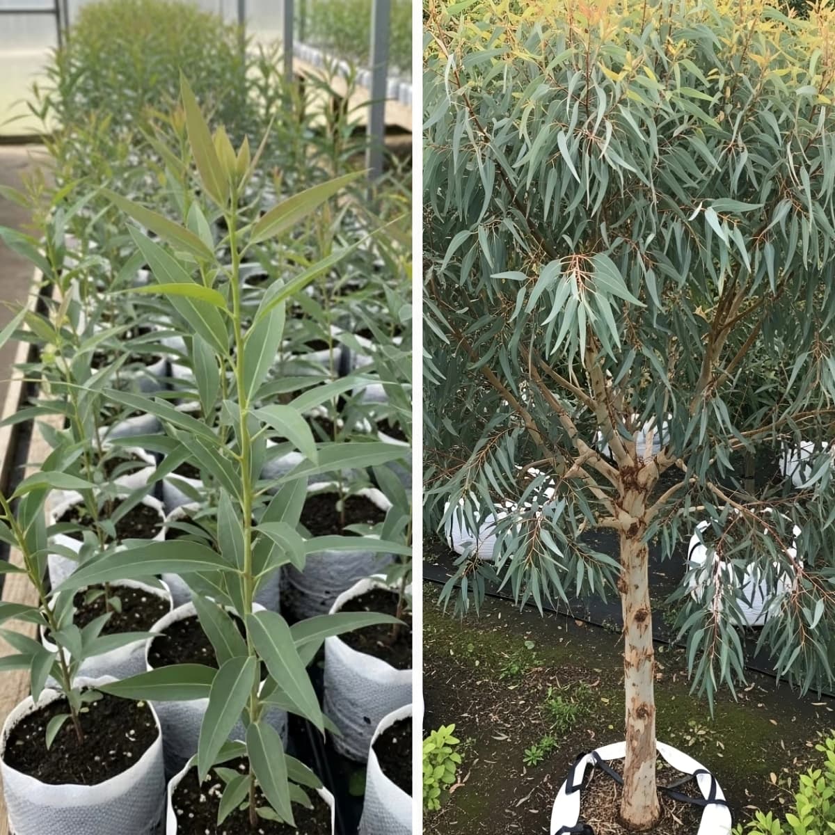 Investissement rentable retour financier