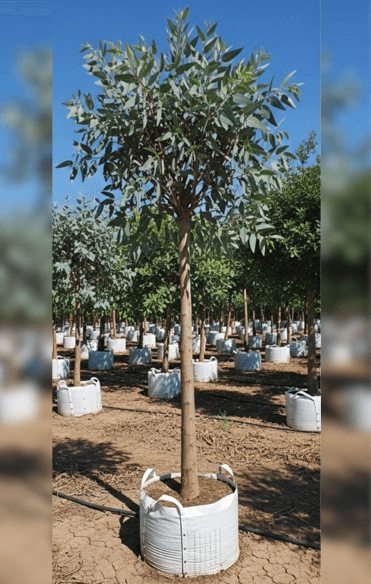 Témoignage de Chloé F.