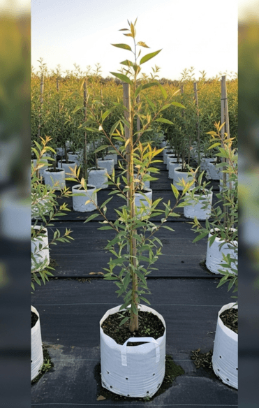 Témoignage de Marion R.