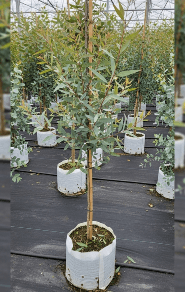 Témoignage de Candice N.